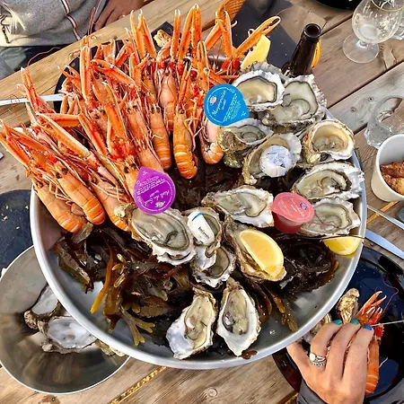 Ladybird Maison 4 à 5 Pers Climatisée * Longeville-sur-Mer